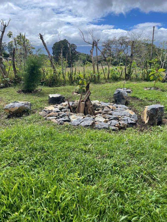 Glamping Campo Alegre Hotel Cartago Exterior photo